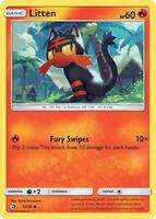 Dragon Majesty