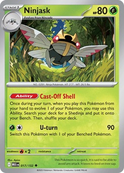 Mega Evolution