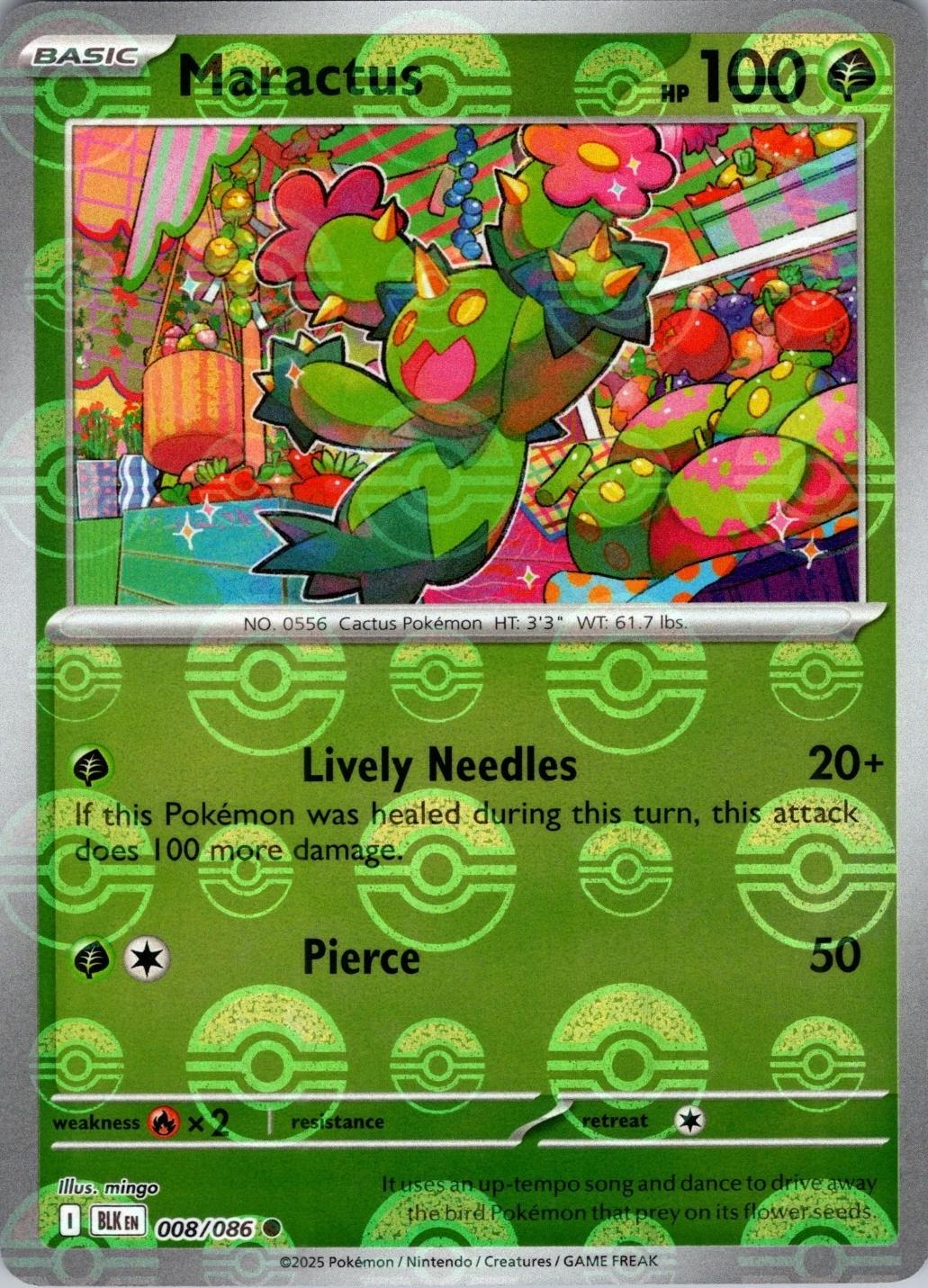 Maractus (Reverse)