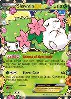 XY Promos