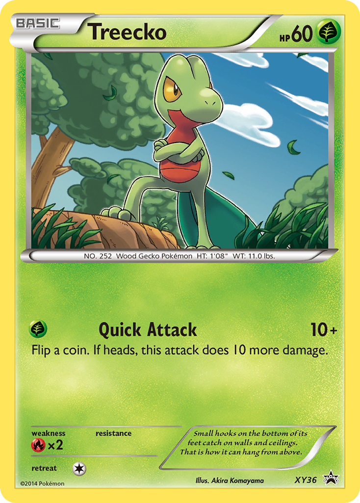 XY Promos