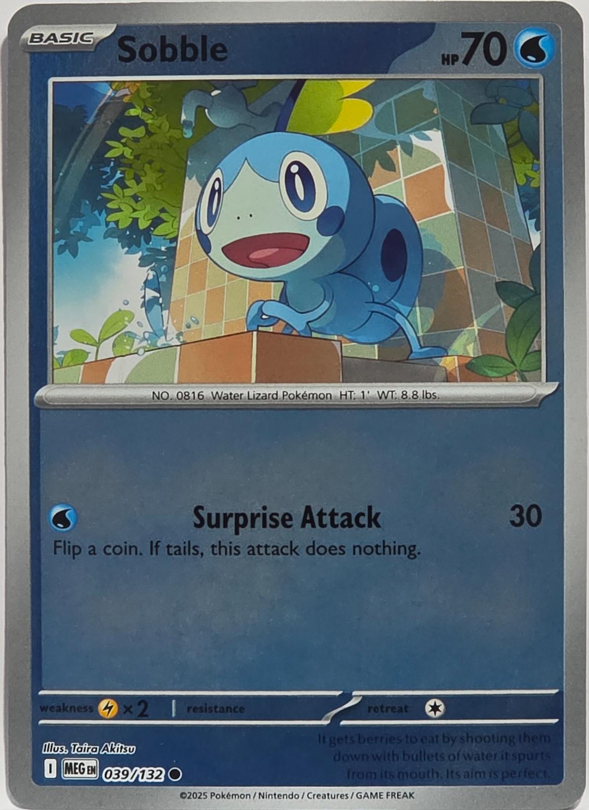 Mega Evolution