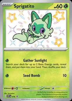 Scarlet & Violet Black Star Promo