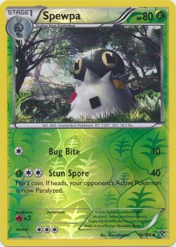 XY