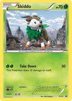XY Promos