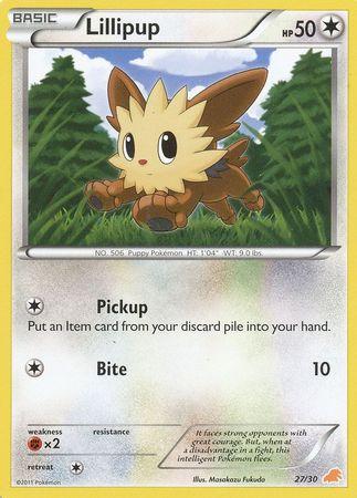 Excadrill & Zoroark