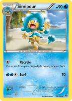 XY Base Set