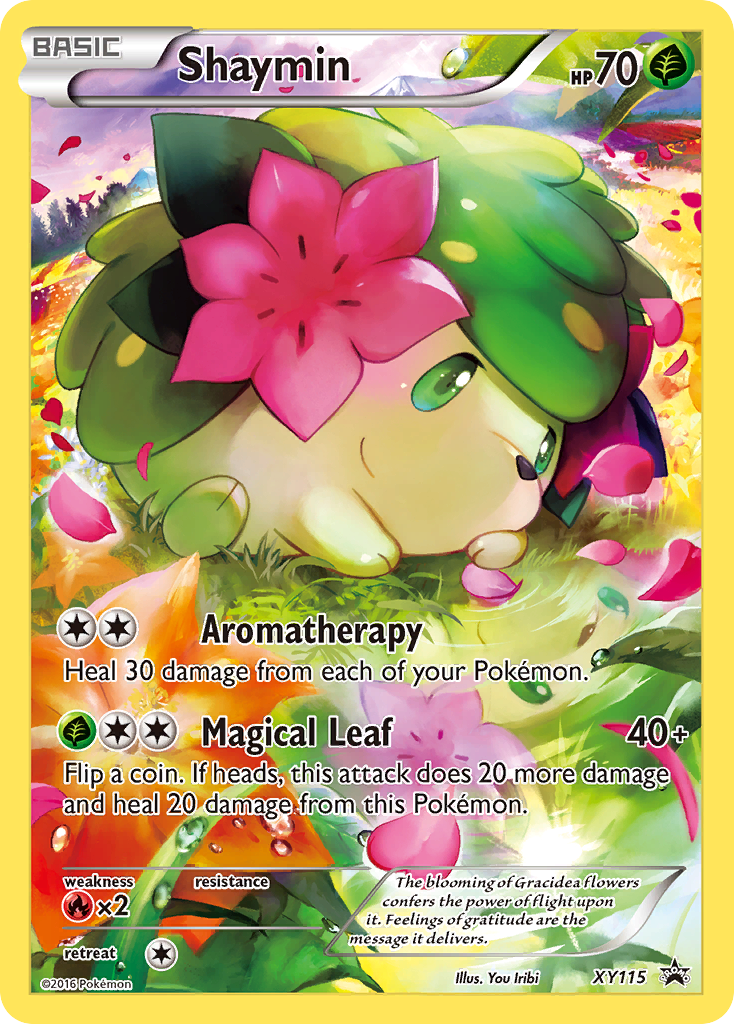 XY Promos