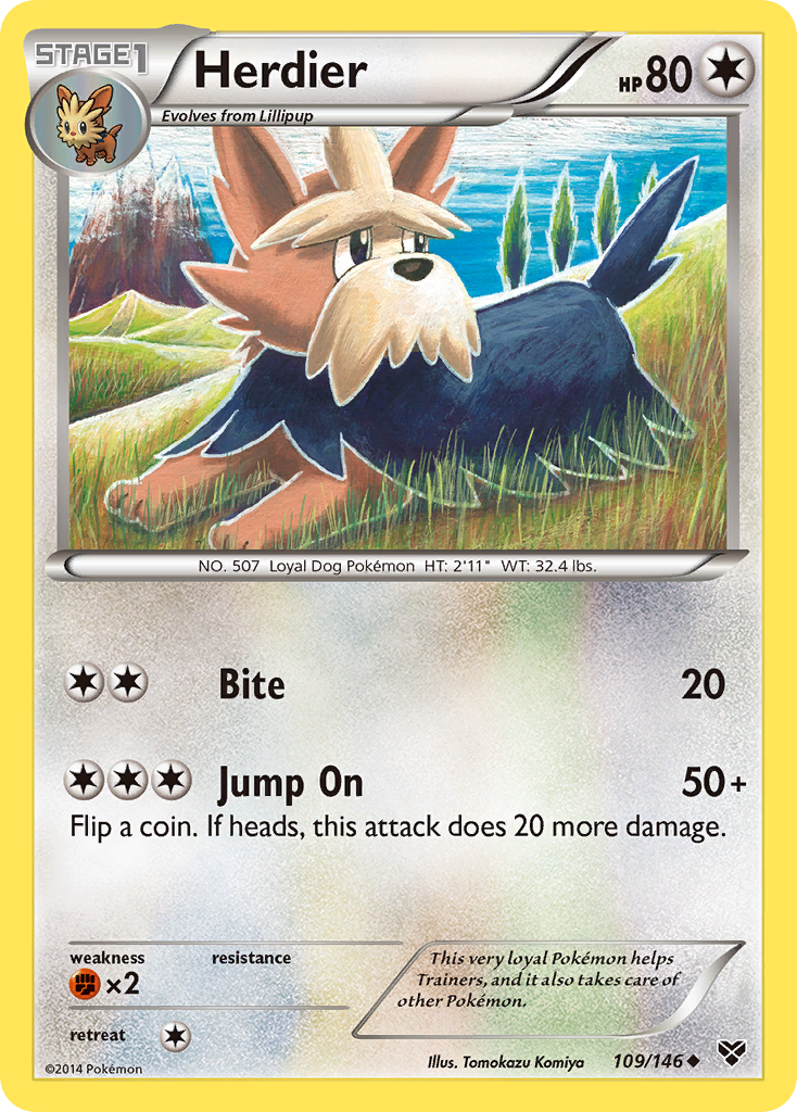 XY Base Set