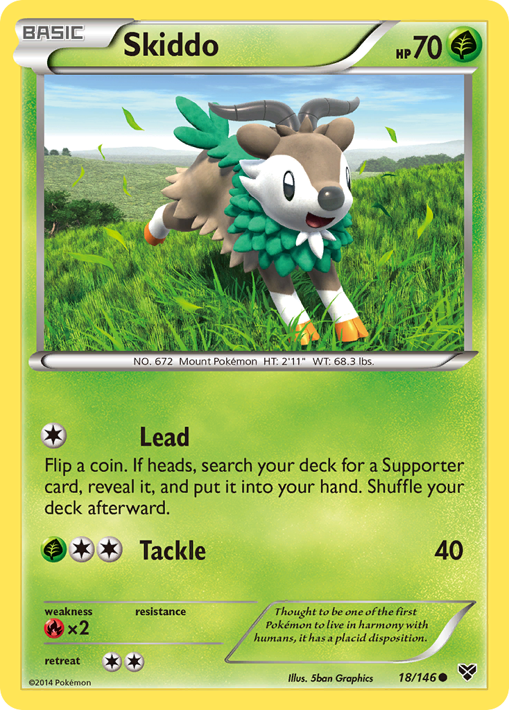XY Base Set