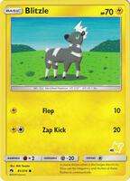 Blitzle (#45 Pikachu Stamped)