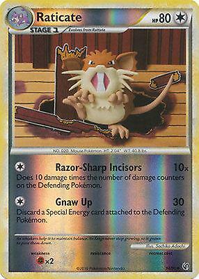 Raticate