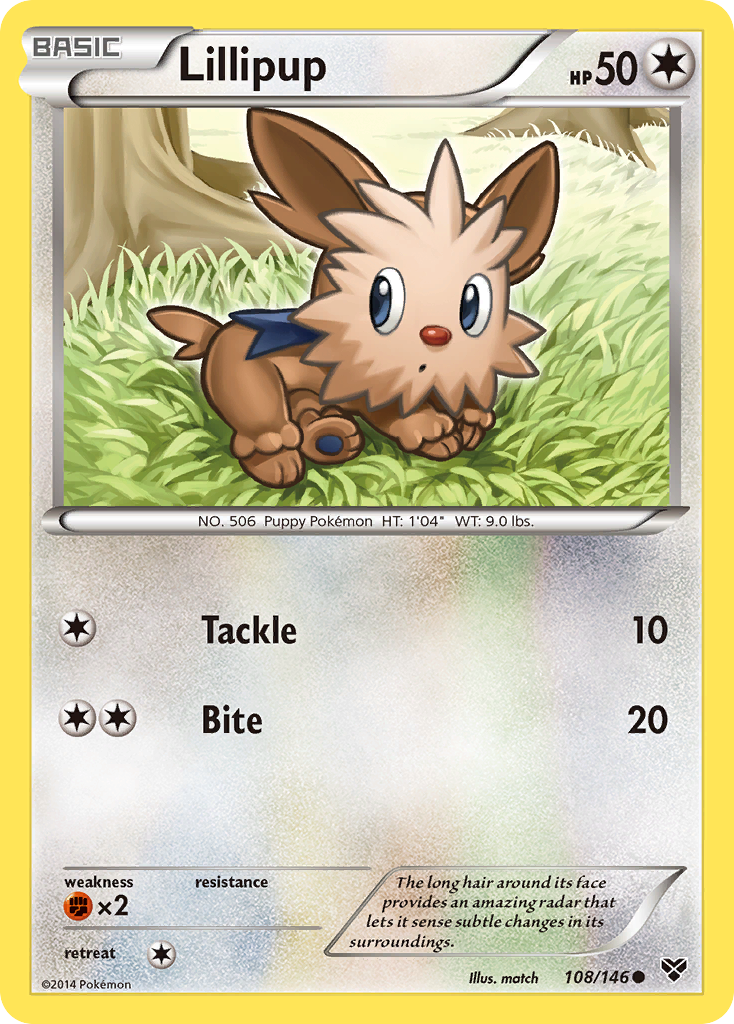 XY Base Set