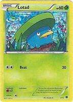 Lotad (Holofoil)
