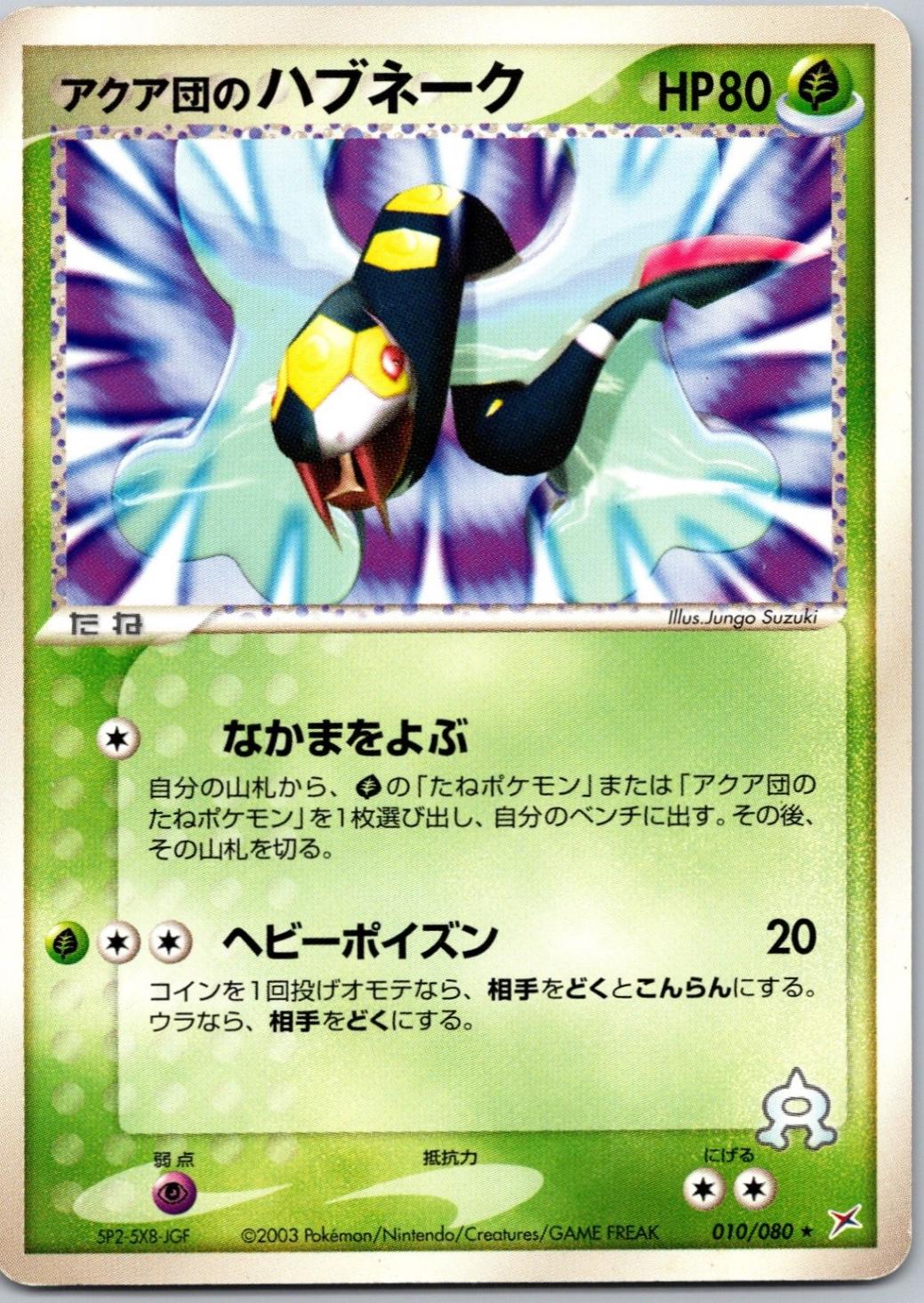 Magma VS Aqua: Two Ambitions