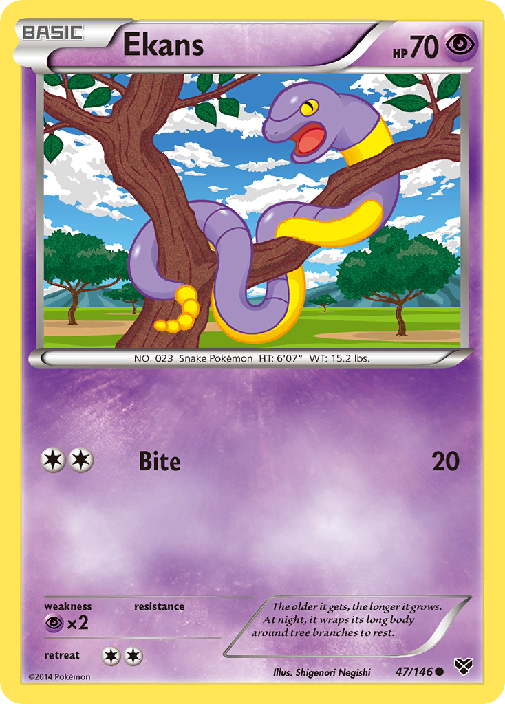 XY Base Set