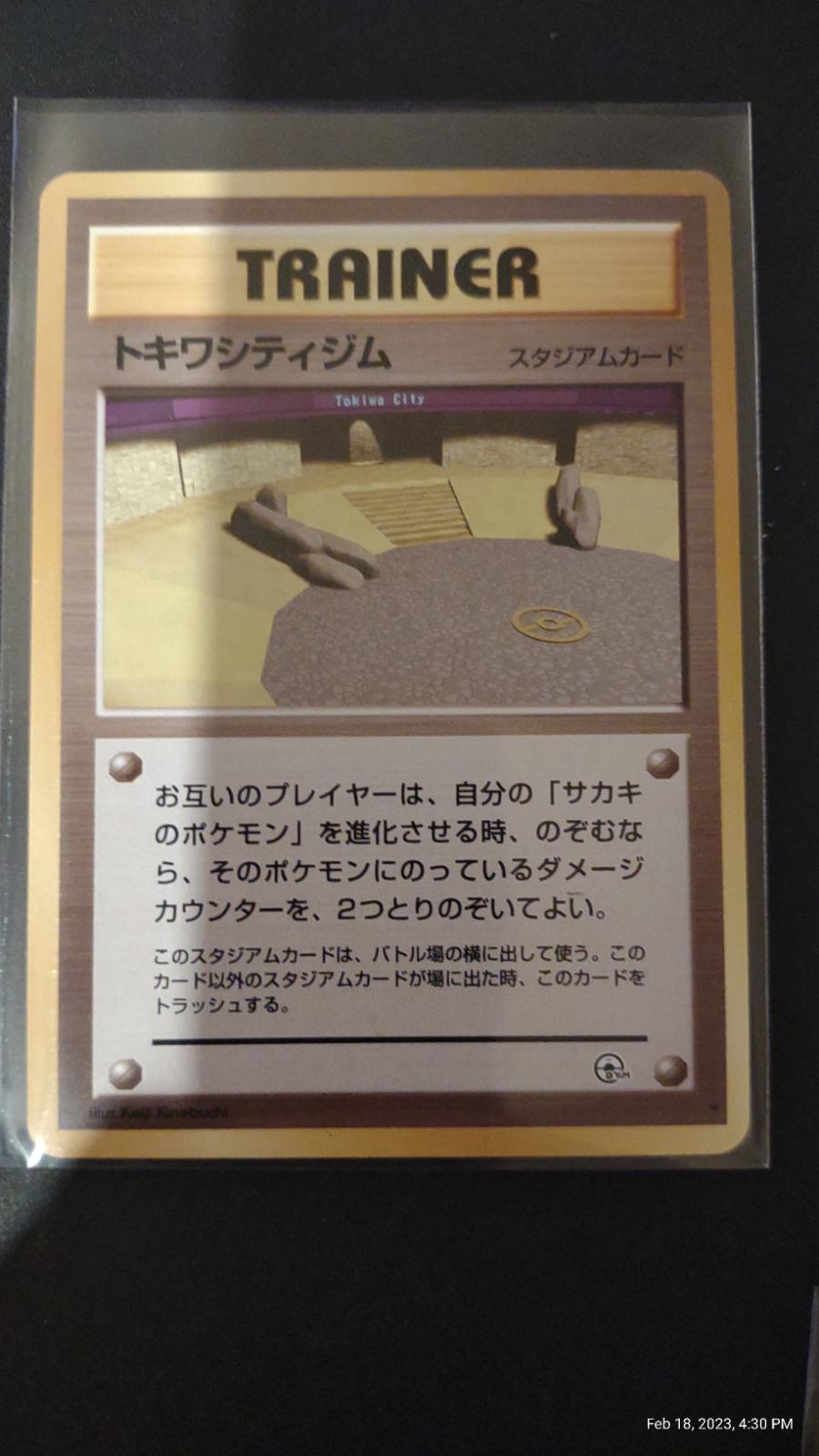Viridian City Gym