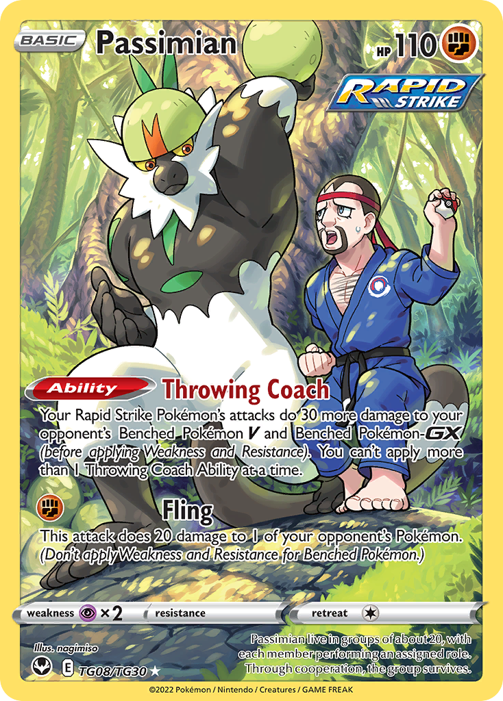 Silver Tempest Trainer Gallery