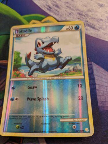 HeartGold & SoulSilver