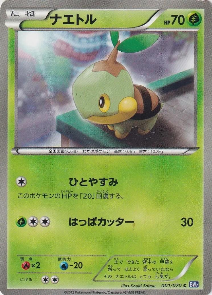 Turtwig