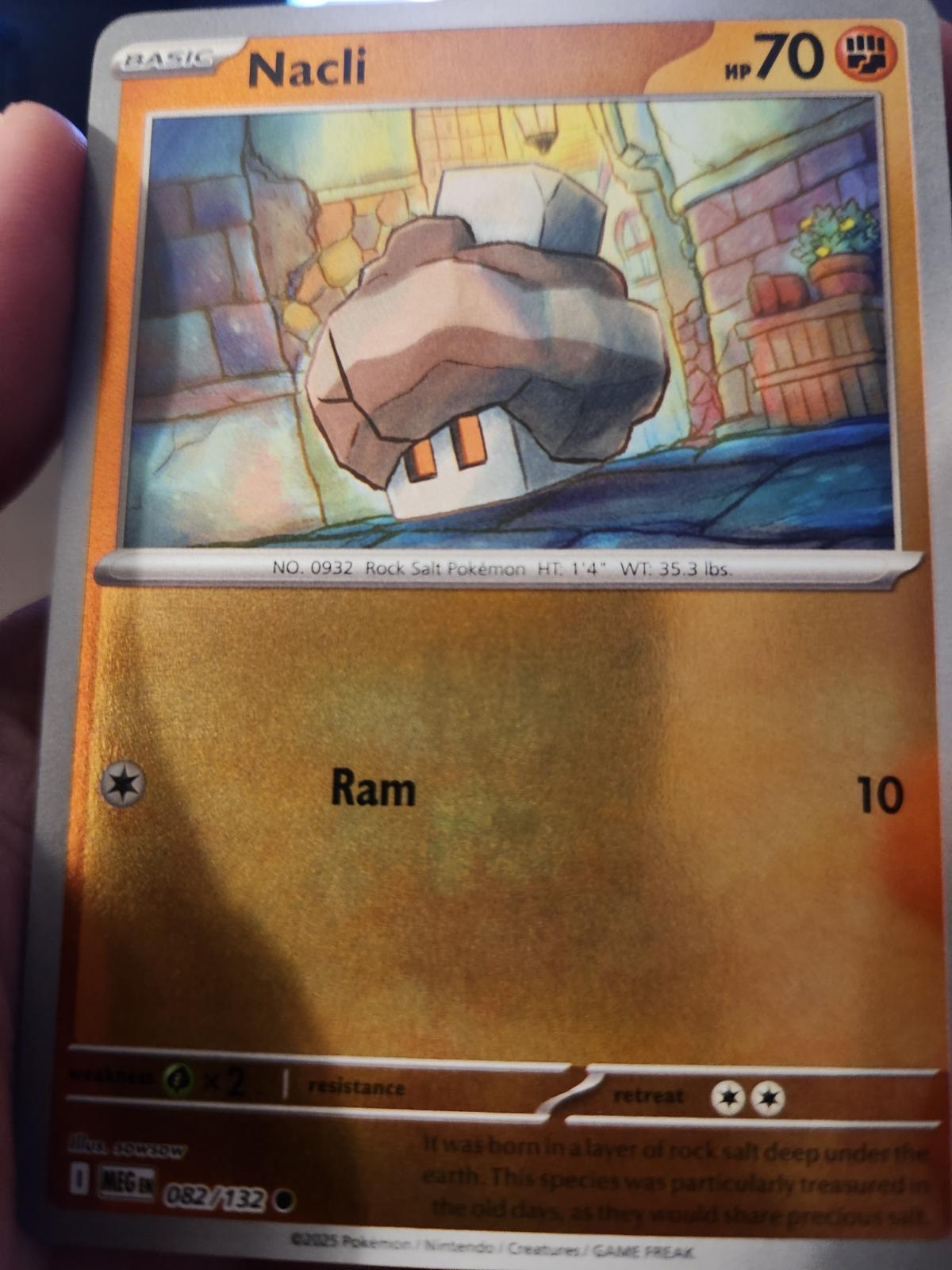 Mega Evolution