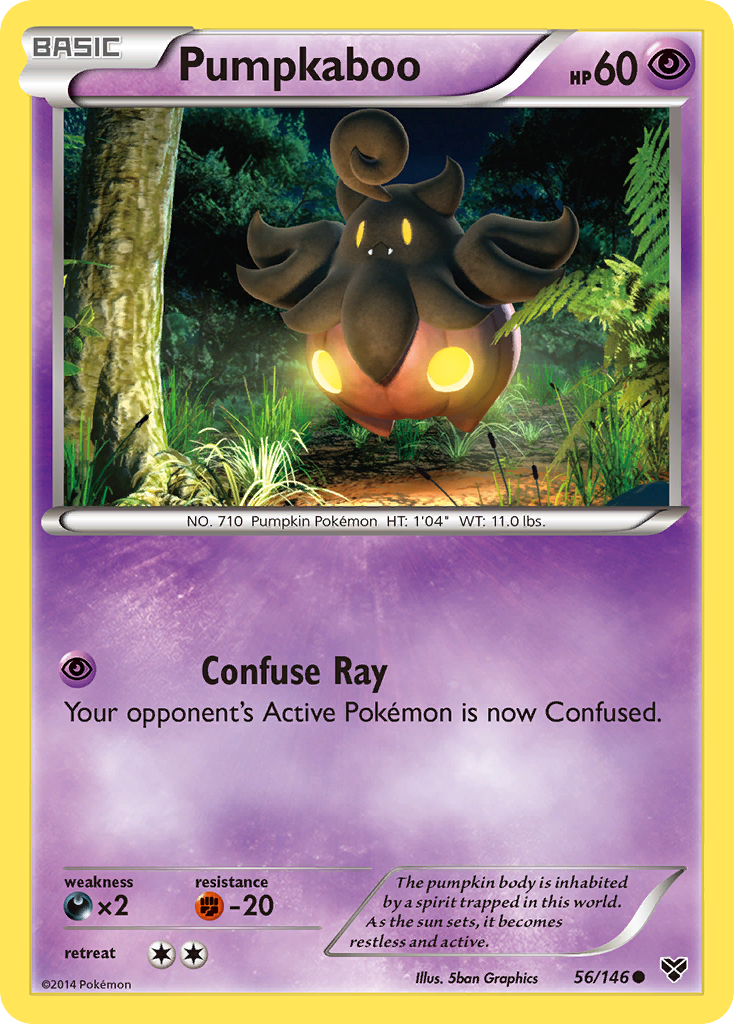 XY Base Set