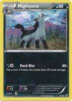 Kalos Starter Set