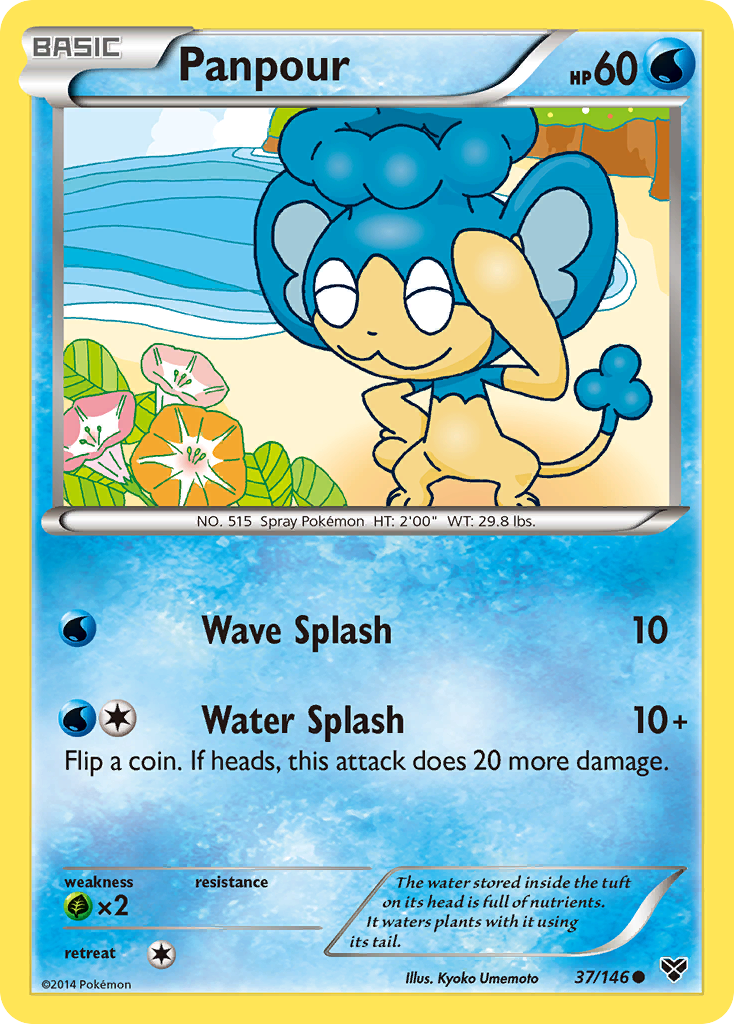 XY Base Set