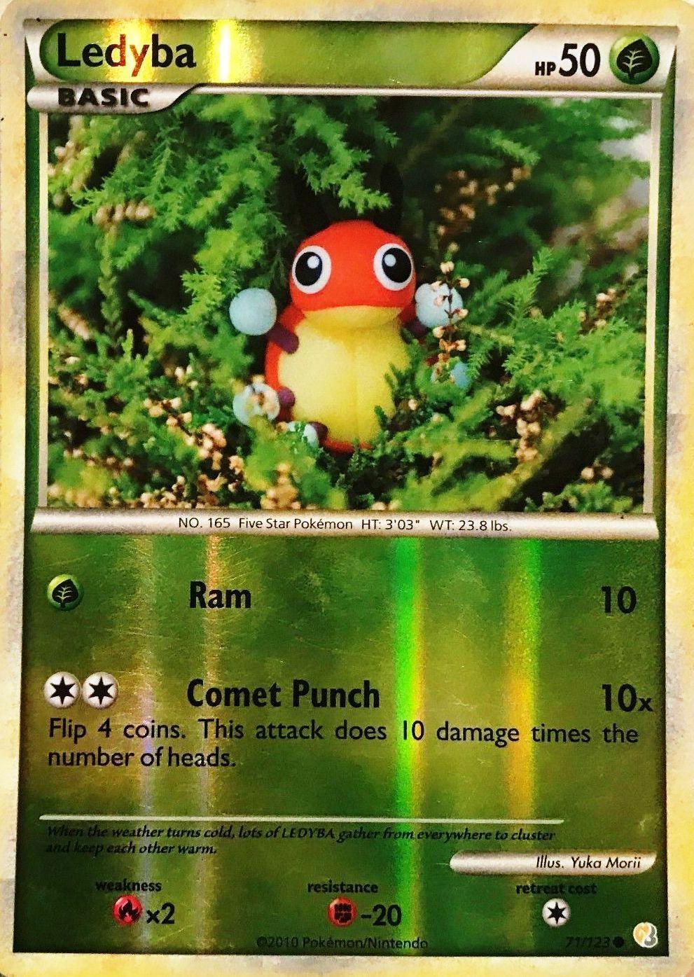 Ledyba