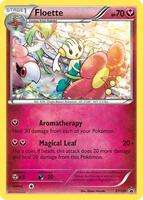 XY Promos