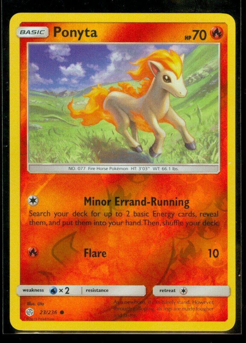Ponyta