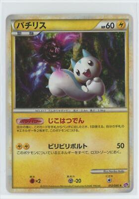 Pachirisu (Holofoil)