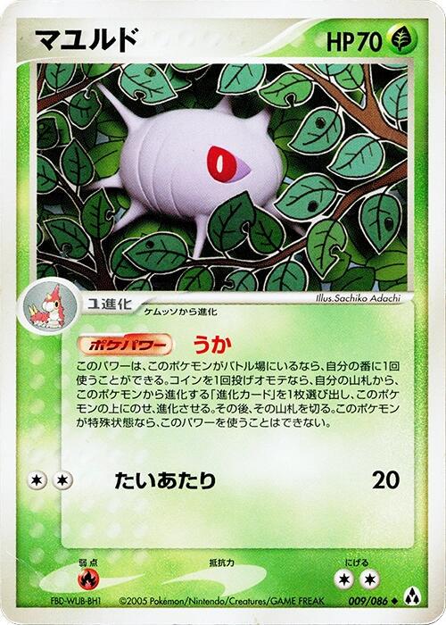 Mirage Forest