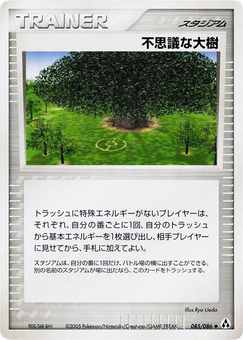 Mirage Forest