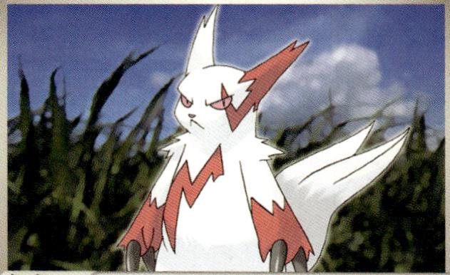 Zangoose