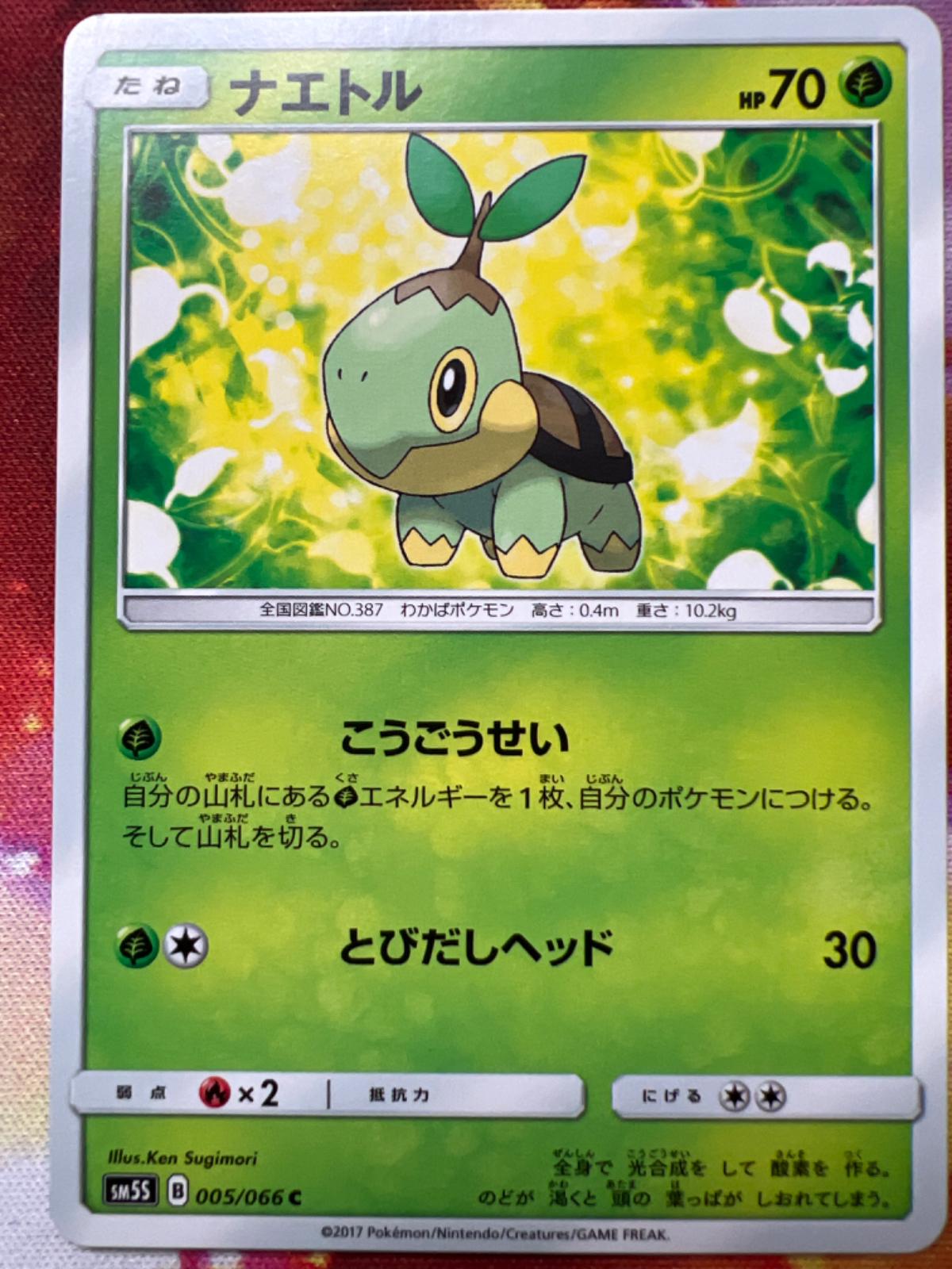 Turtwig