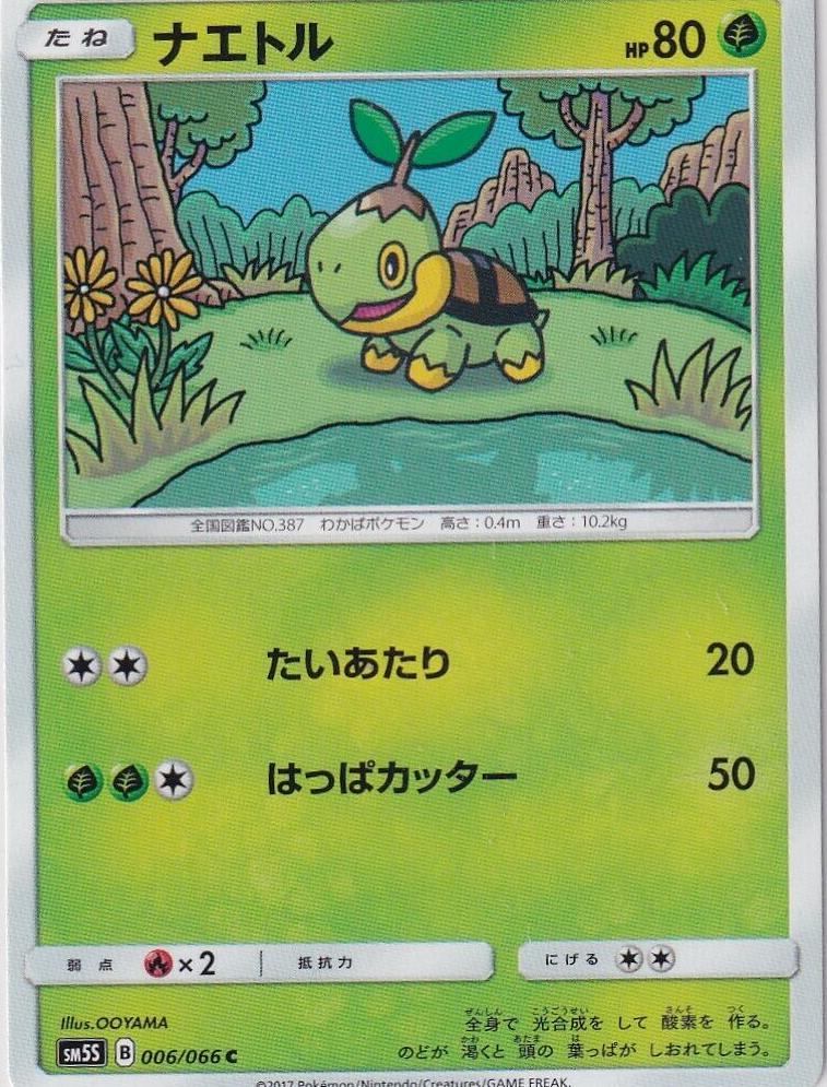 Turtwig