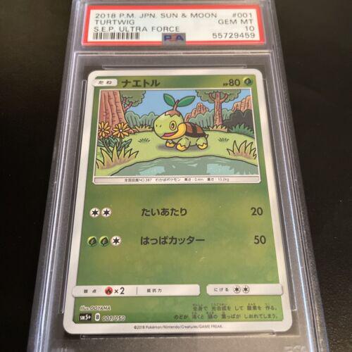 Turtwig
