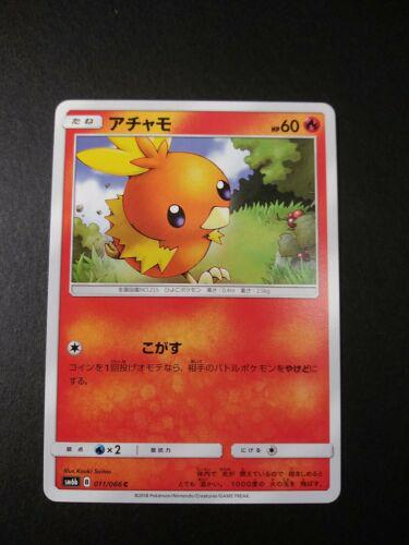 Torchic