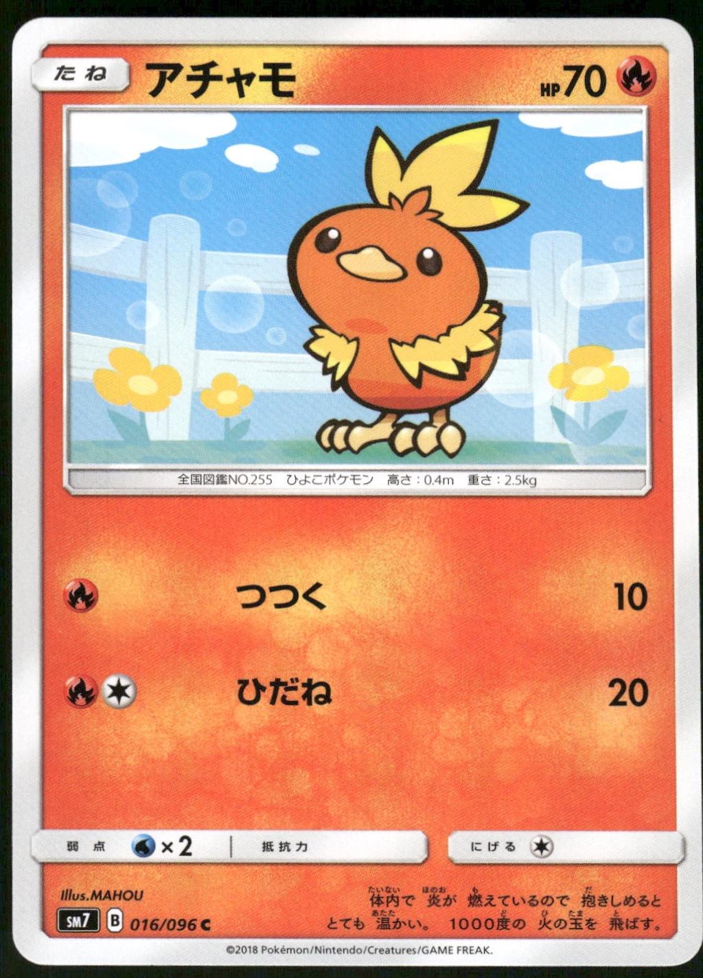 Torchic