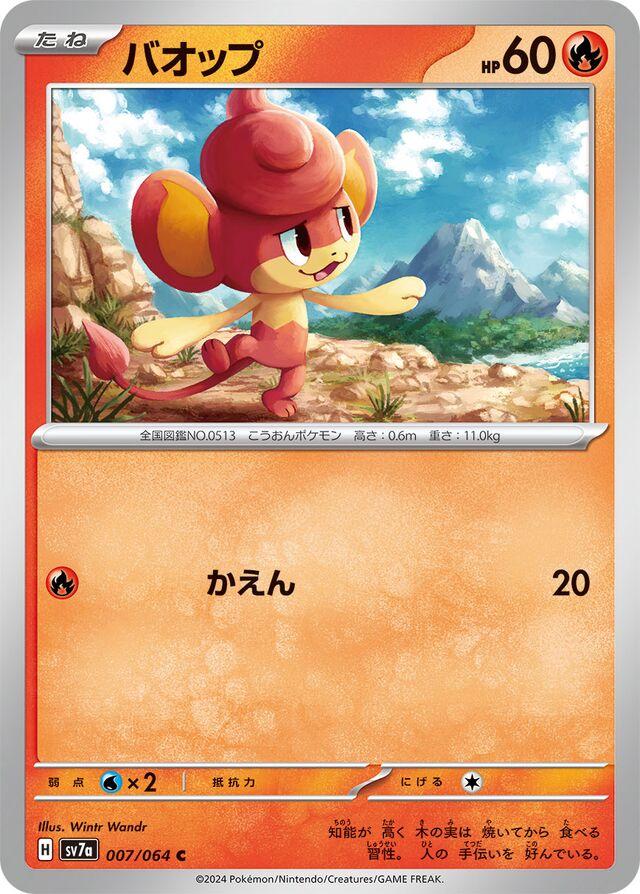 Paradise Dragona