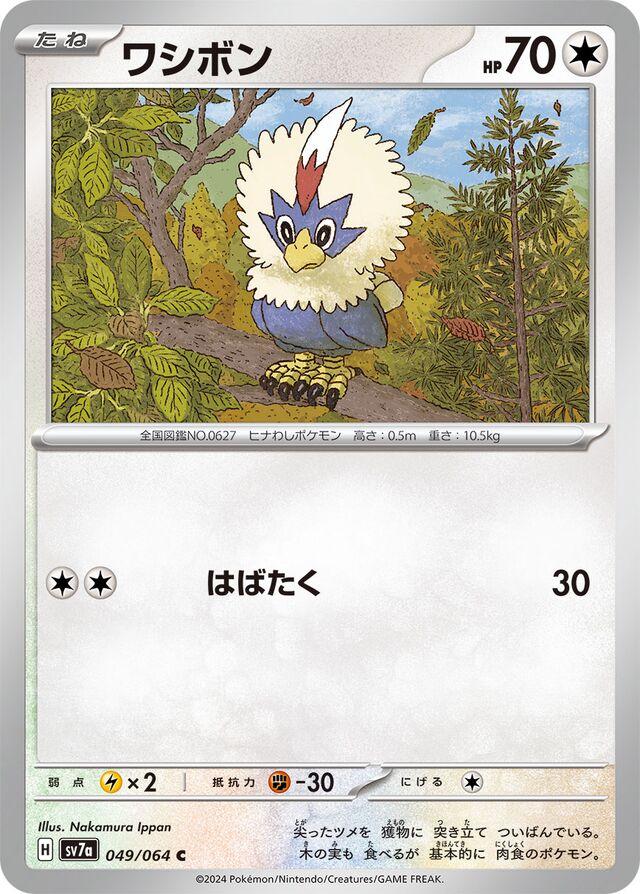 Paradise Dragona