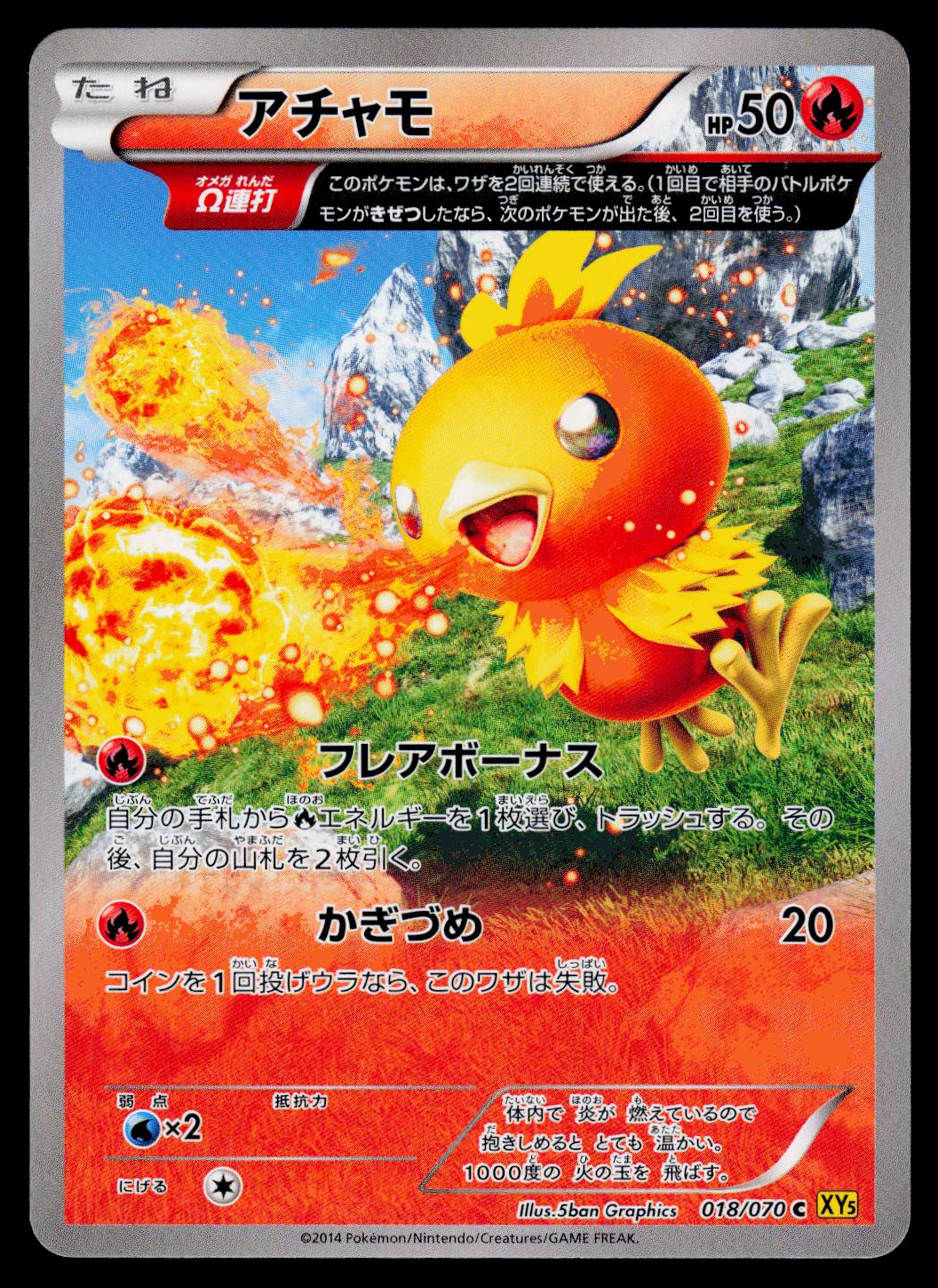 Torchic