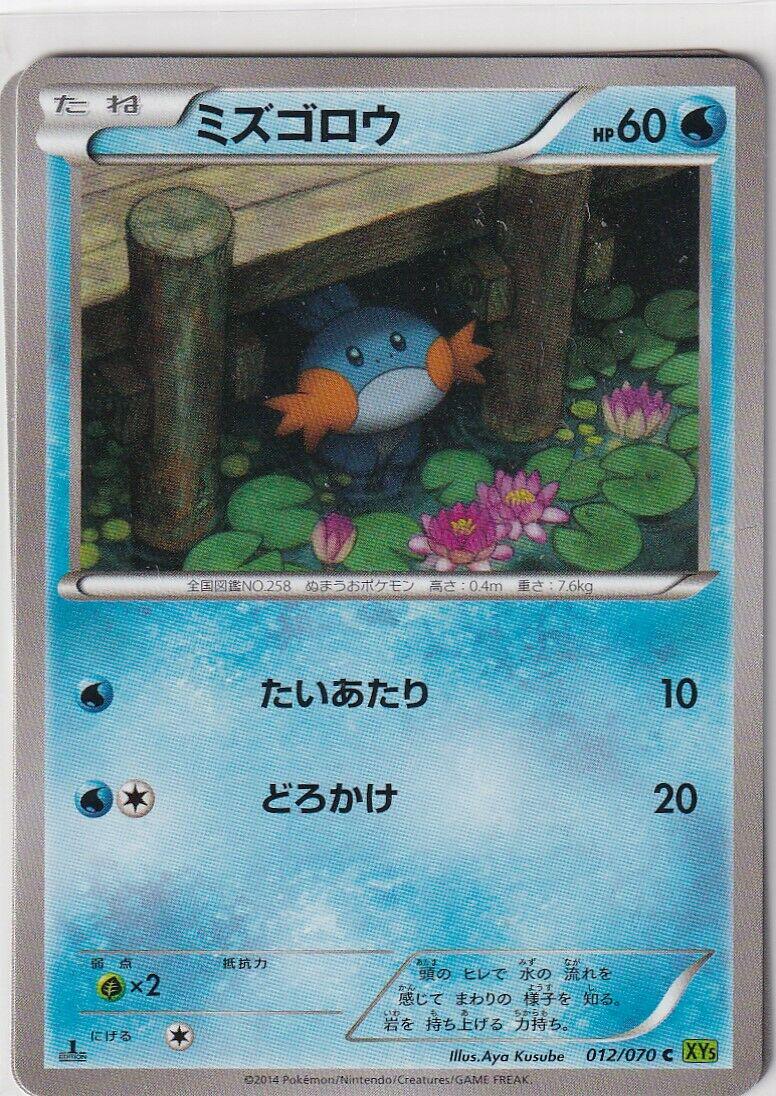 Mudkip (1st Edition)